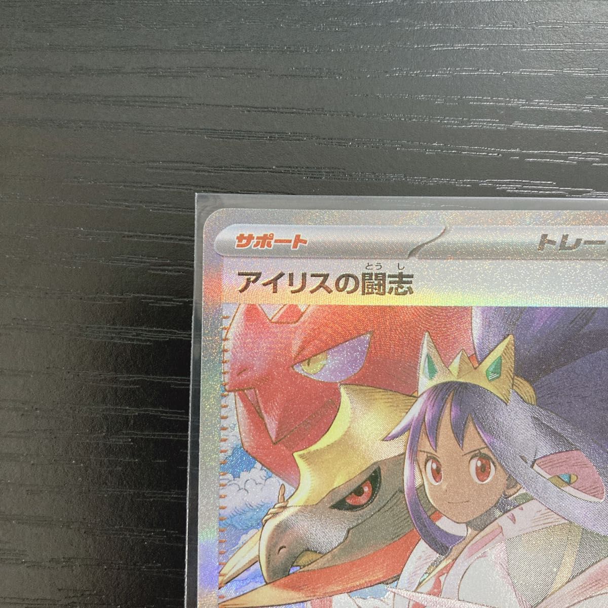 ナンジャモのハラバリーex SAR アイリスの闘志 SAR カナリィ SR メガ