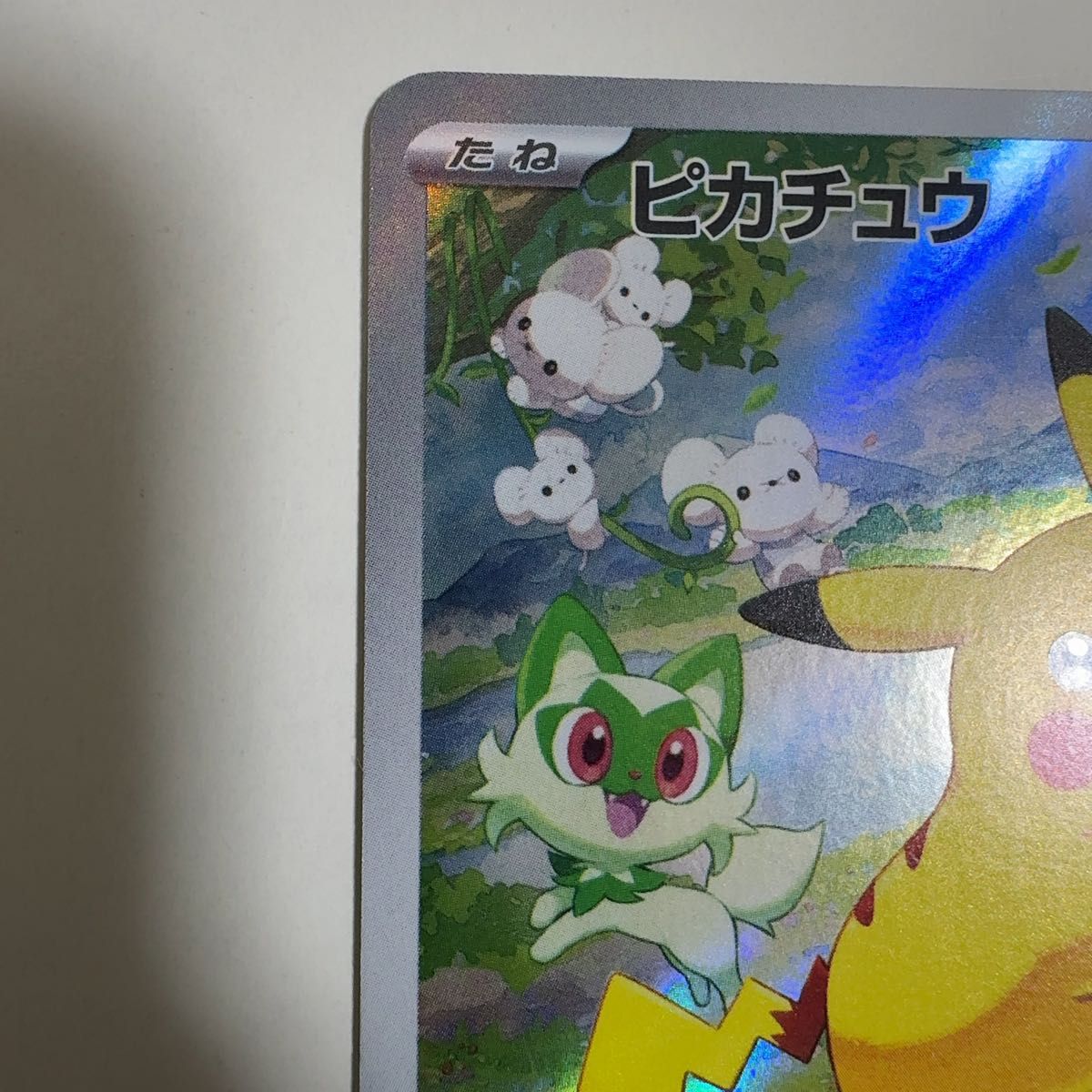 ピカチュウ ポケカの夏がキタ PROMO 218/SV-P ポケモンカード ポケカ