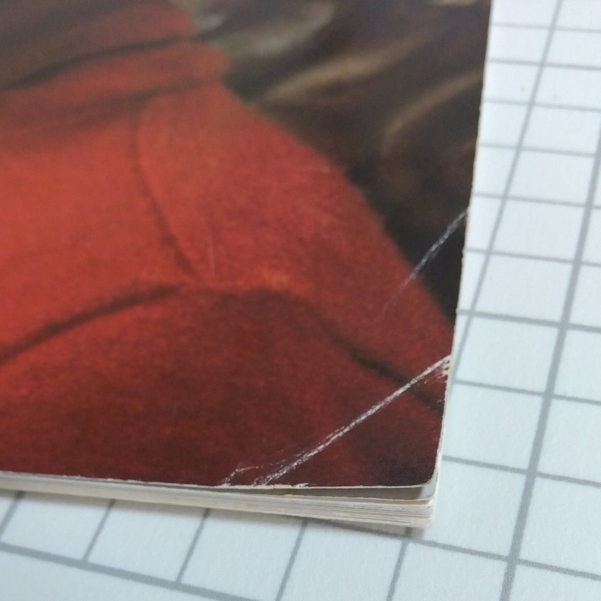 ミツバチのささやき／カラスの飼育 パンフレット2冊セット アナ