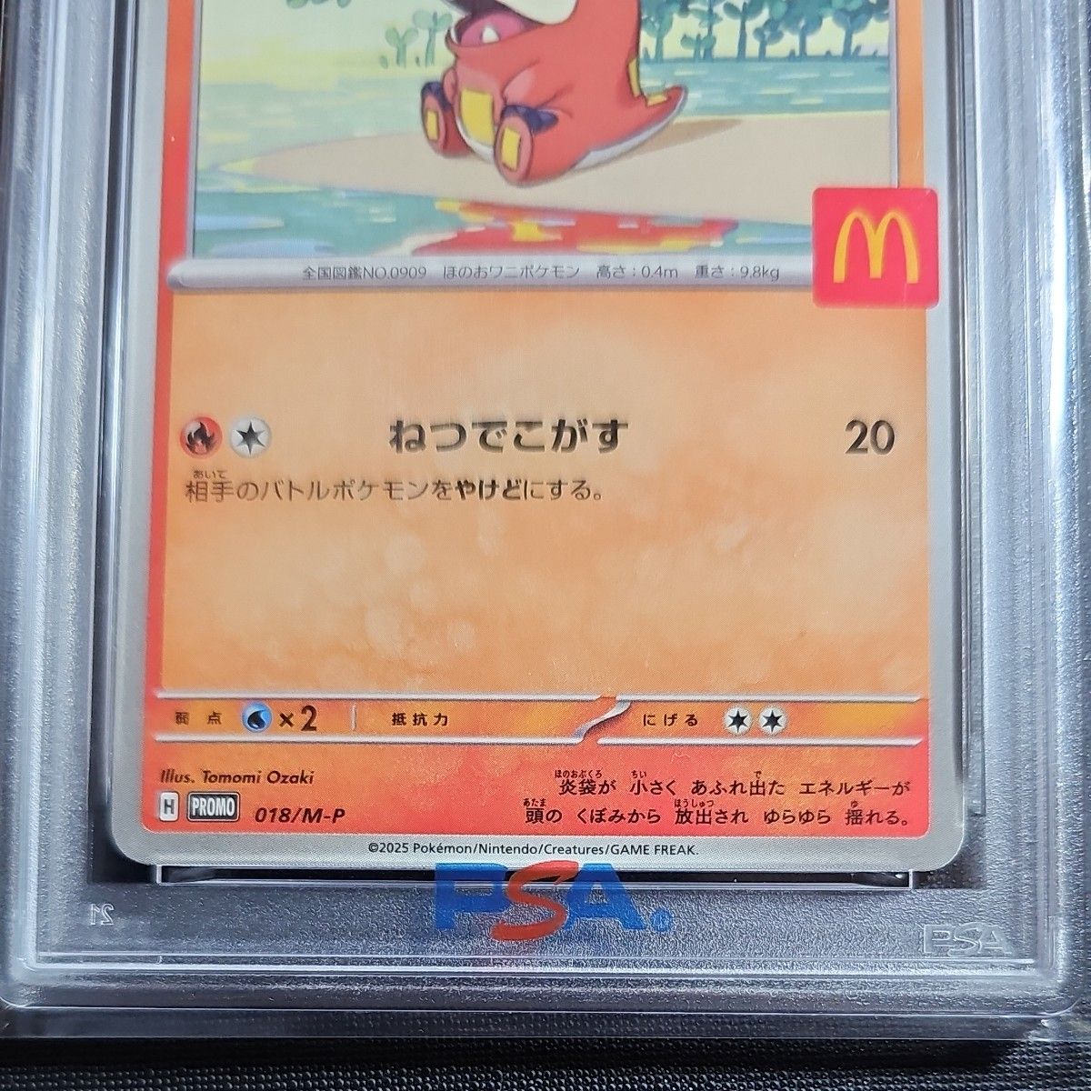 PSA10 ホゲータ マクドナルド プロモ ポケモンカード 2025 M-P JP
