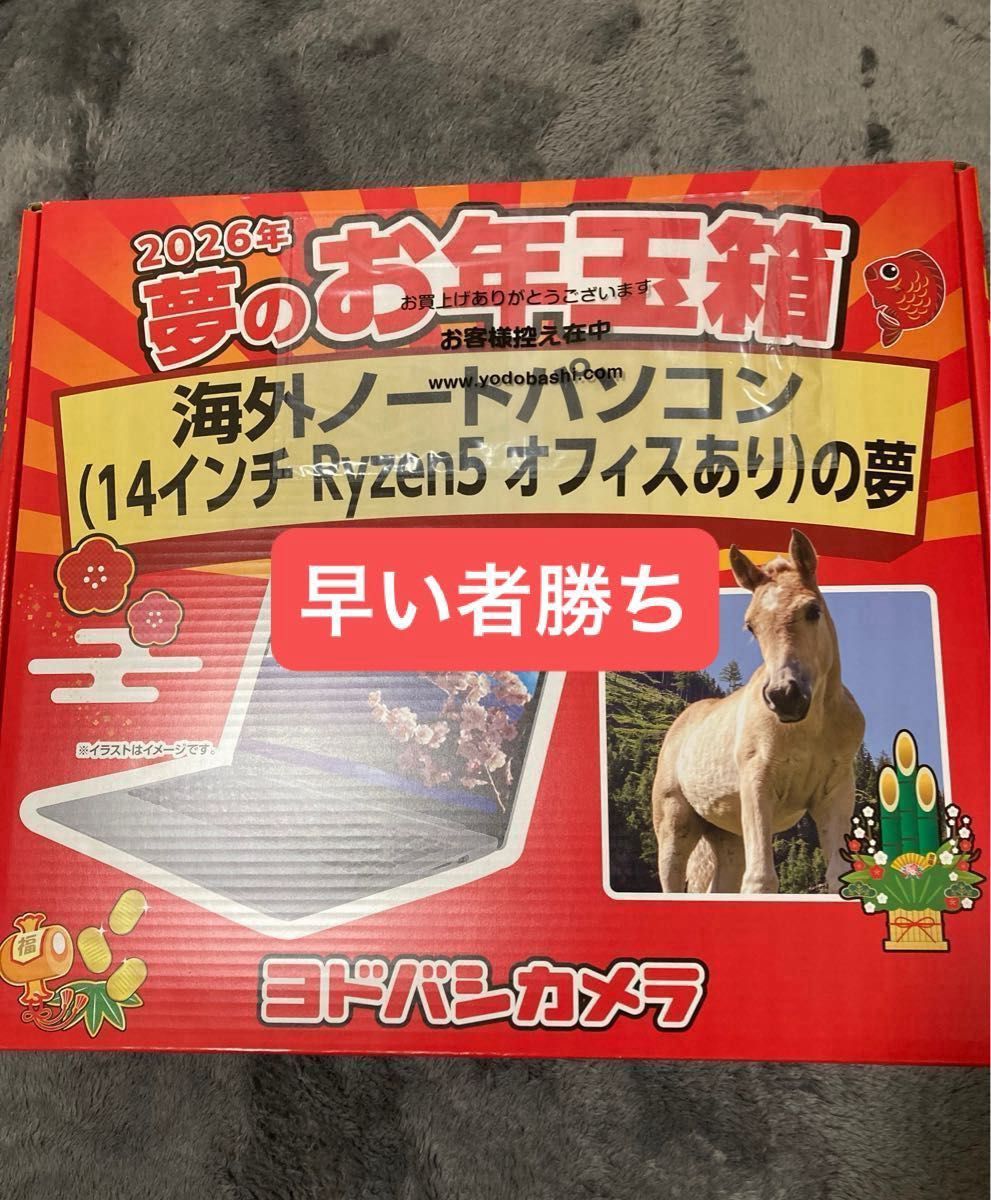 ヨドバシカメラ 福袋 夢のお年玉箱2026 海外ノートパソコンの夢 14
