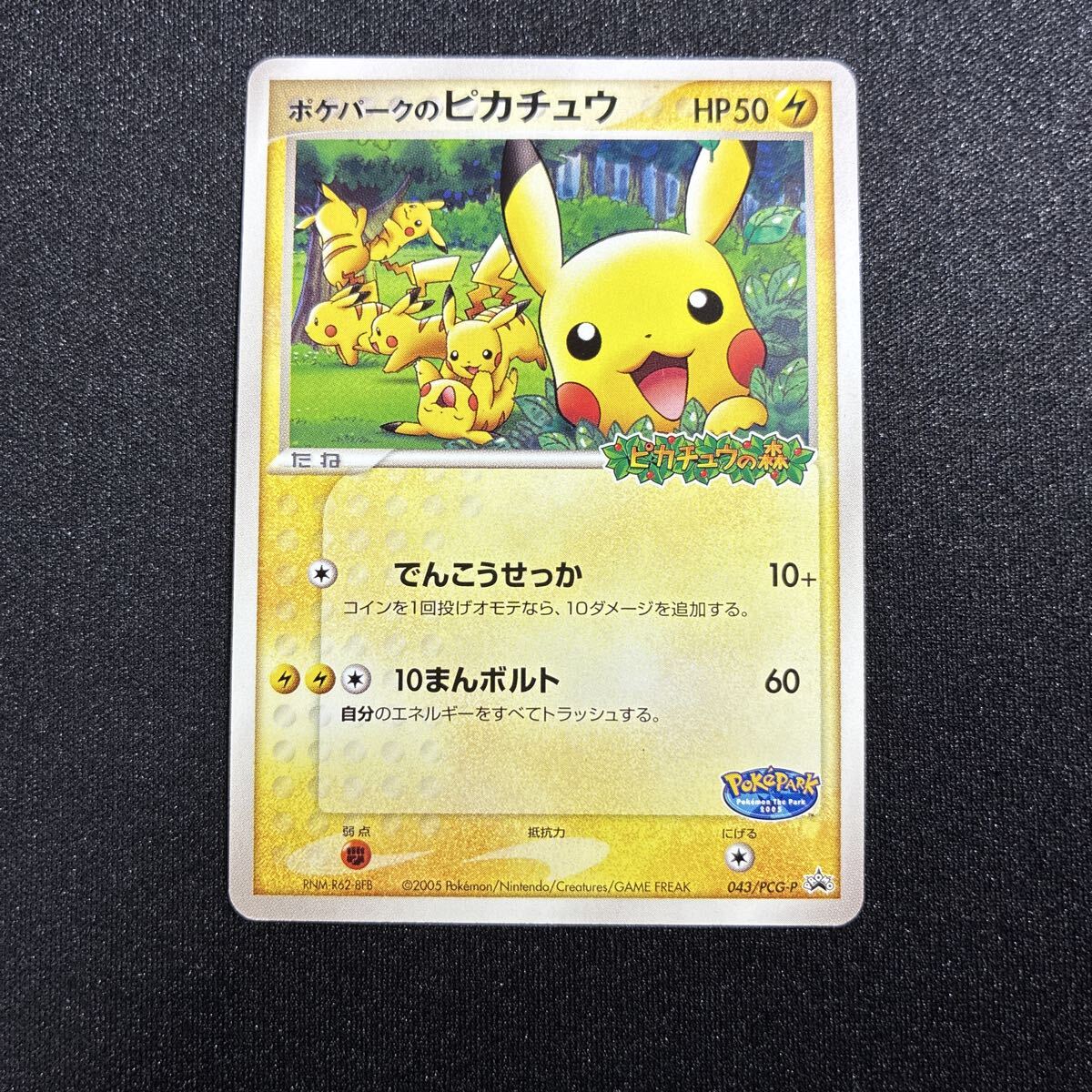 ポケパークのピカチュウ 043/PCG-P】 PSA10 ポケモンカード｜Yahoo
