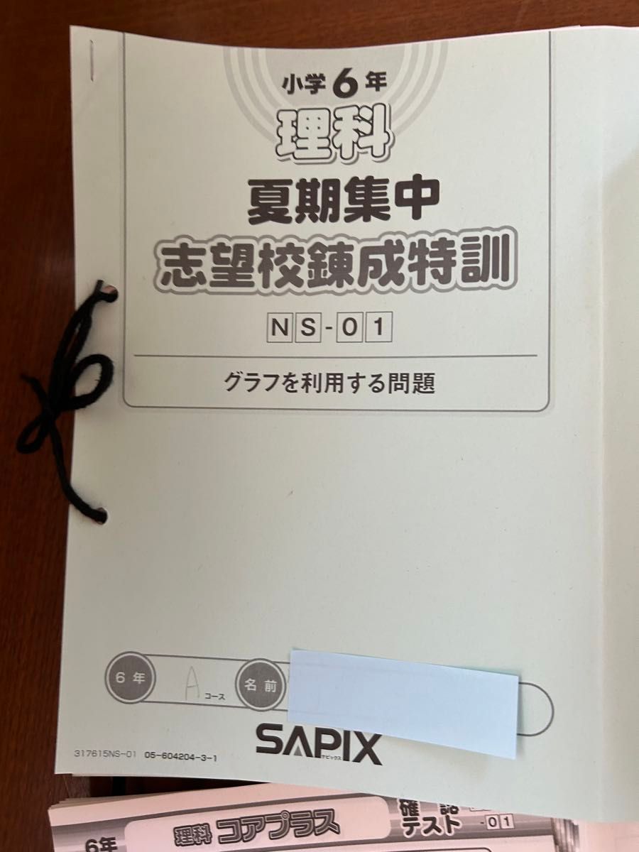SAPIX6年理科 一年分セットSS特訓デイリーチェック ウィクリー