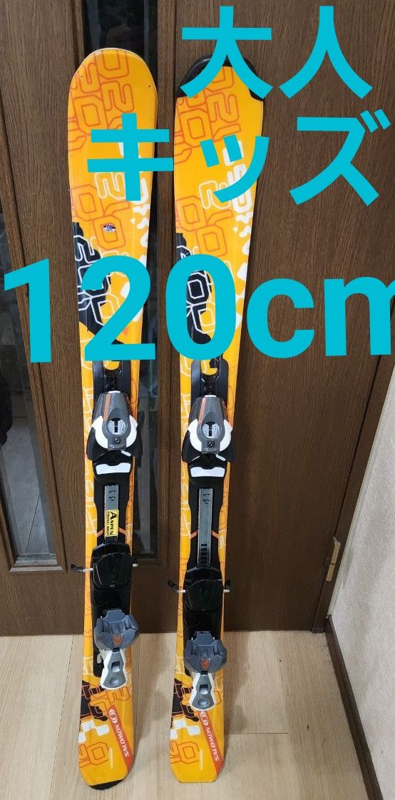 120cm ミッドスキー ケース付き ファンスキー スキー板 ショートスキー