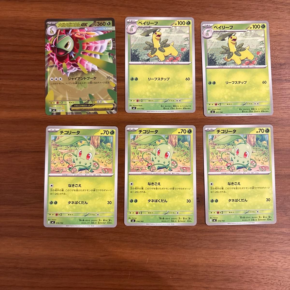 メガメガニウムex チコリータ ベイリーフ 進化セット 進化ライン 進化