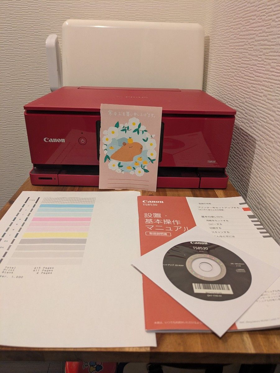 Canon PIXUS TS 8530 印刷枚数 420枚 No 172｜Yahoo!フリマ（旧PayPay