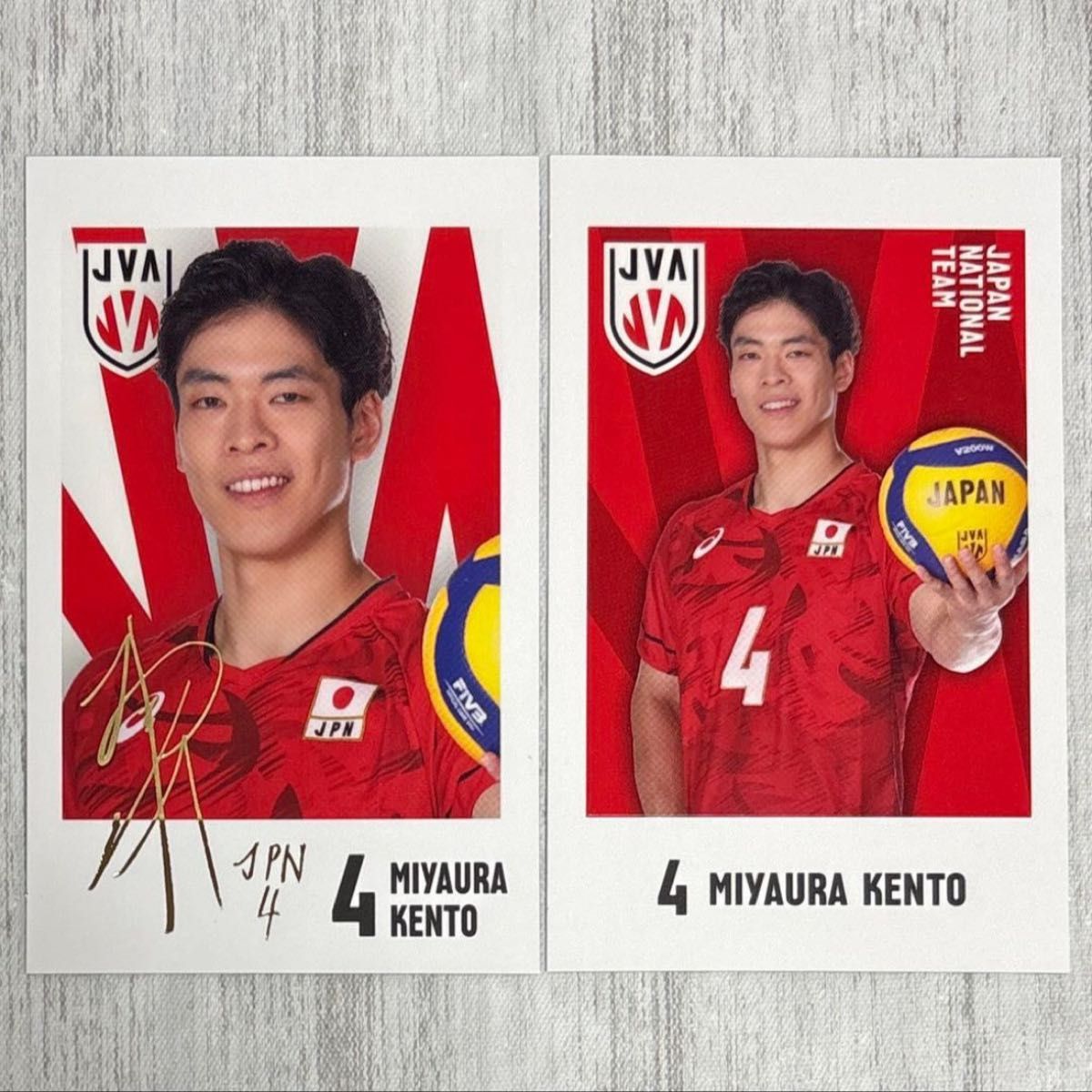 バレーボール男子日本代表 キャラポトレ 全24種フルコンプリート 石川