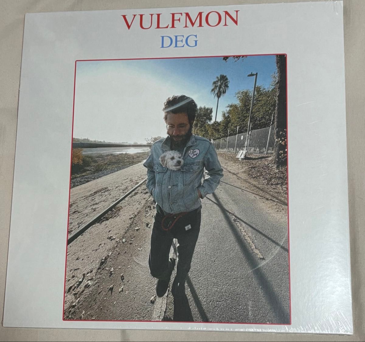 Vulfpeck Vulfmon DEG 受注生産限定 アナログ盤 新品 送料込 LP