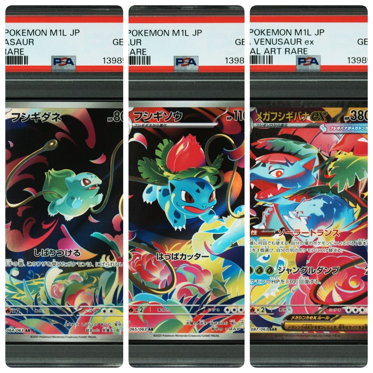 PSA10 ポケモンカード フシギダネ ar フシギソウ ar メガフシギバナex