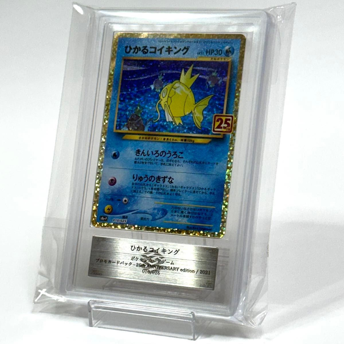 ひかるコイキング 25th