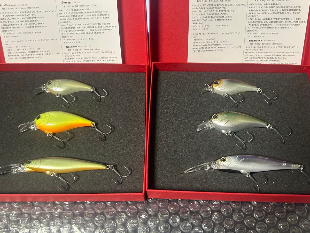 レヴォニック 2026 コンプリートセット カラーA カラーB セット