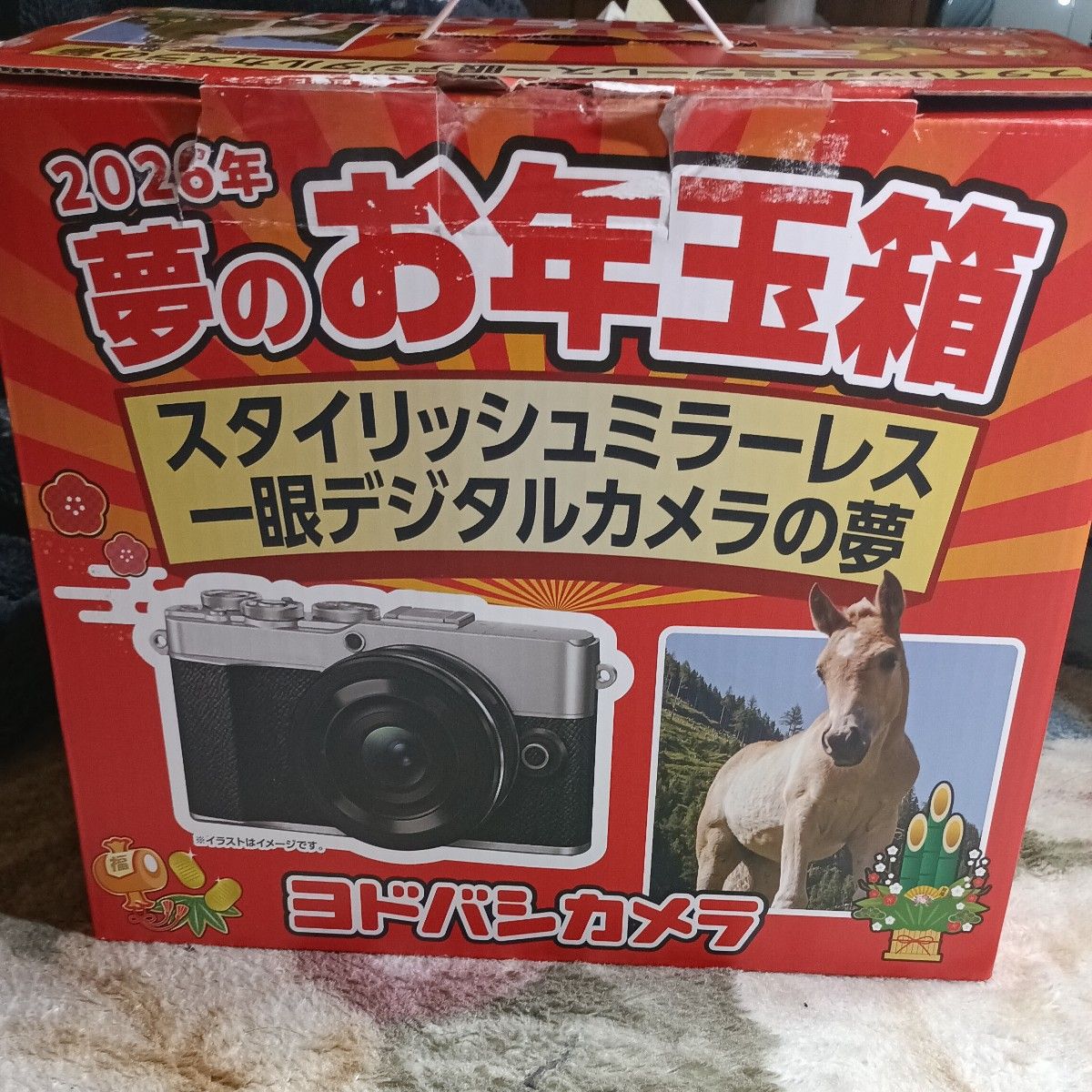 ヨドバシカメラ福袋2026 スタイリッシュミラーレス一眼デジタルカメラ