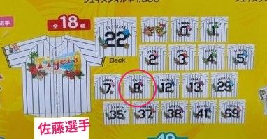 阪神タイガース 佐藤輝明 2026年春季キャンプ地限定販売ユニフォーム
