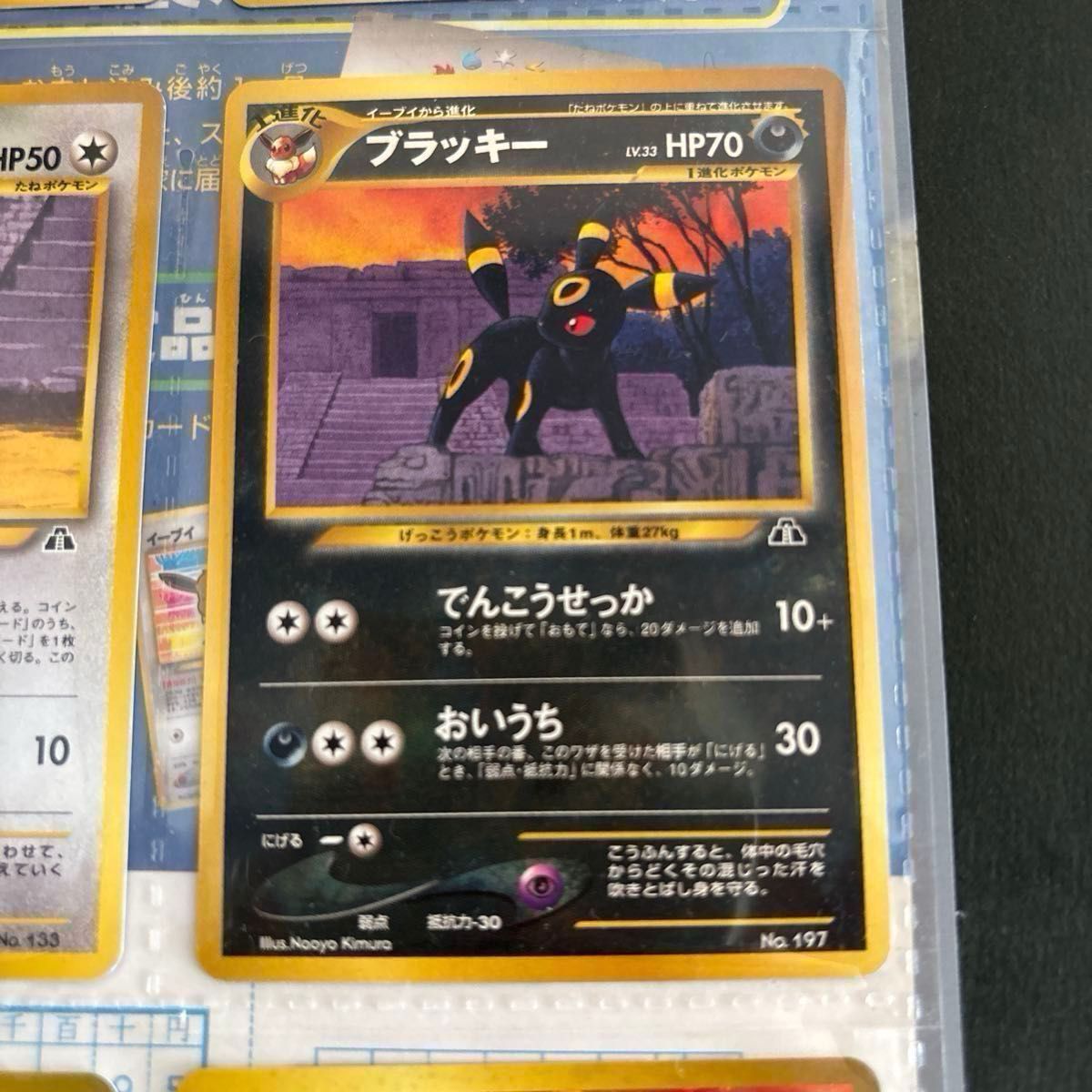 ポケモンカードneo 旧裏プレミアムファイル2 リザードン エンテイ