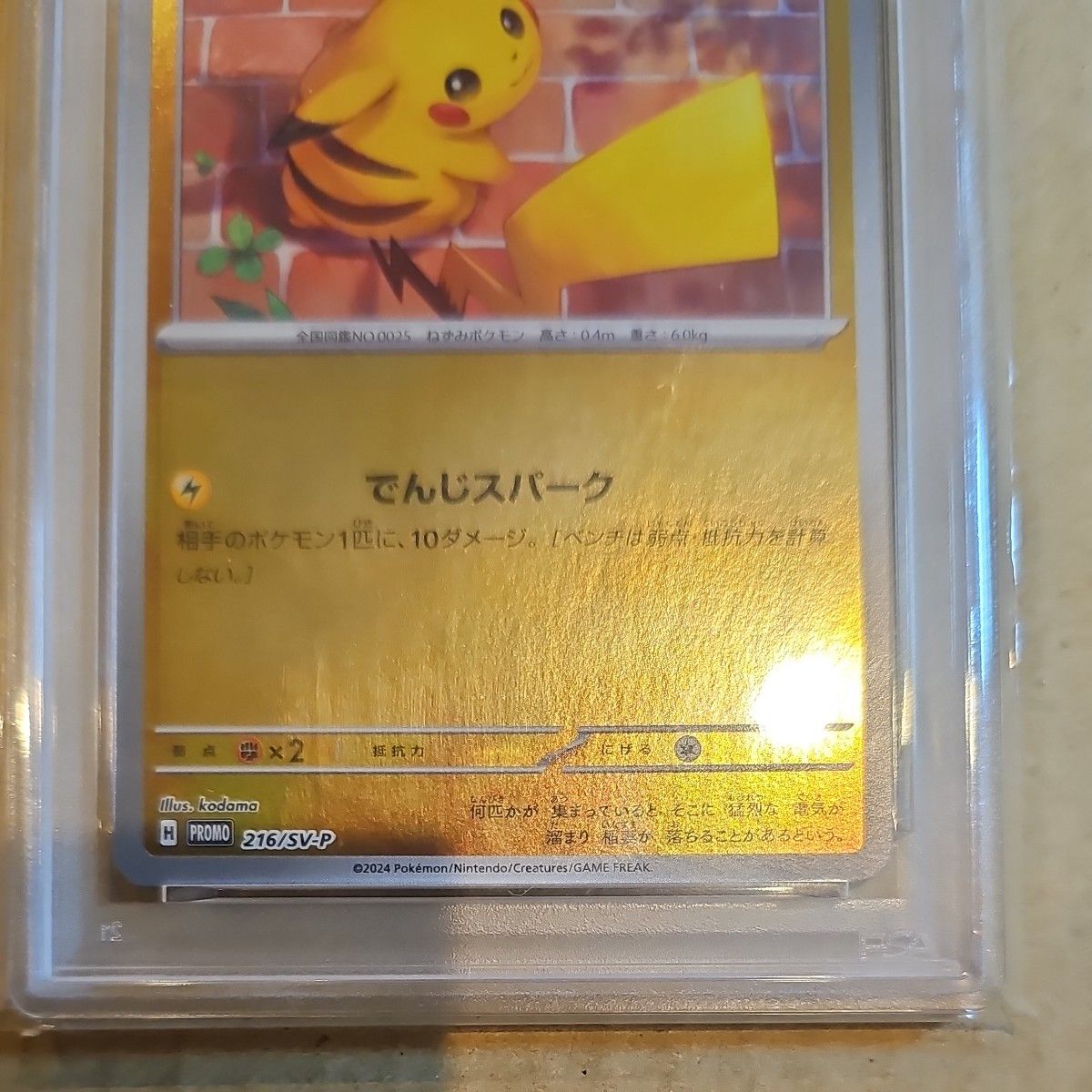 PSA10 ピカチュウ 216/SV-P ポケカの夏がキタ プロモ ポケモンカード