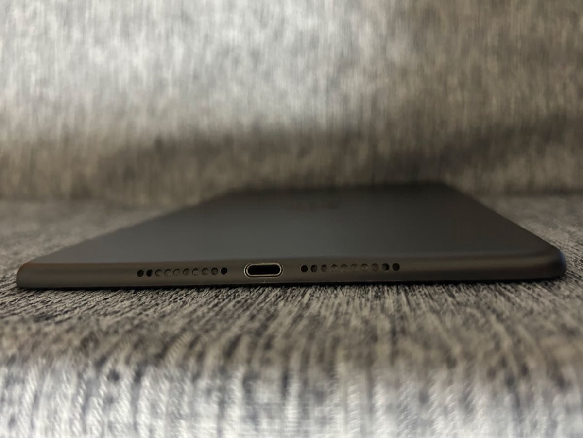 iPad mini 第5世代 64G Wi-Fiモデル スペースグレイ バッテリー診断