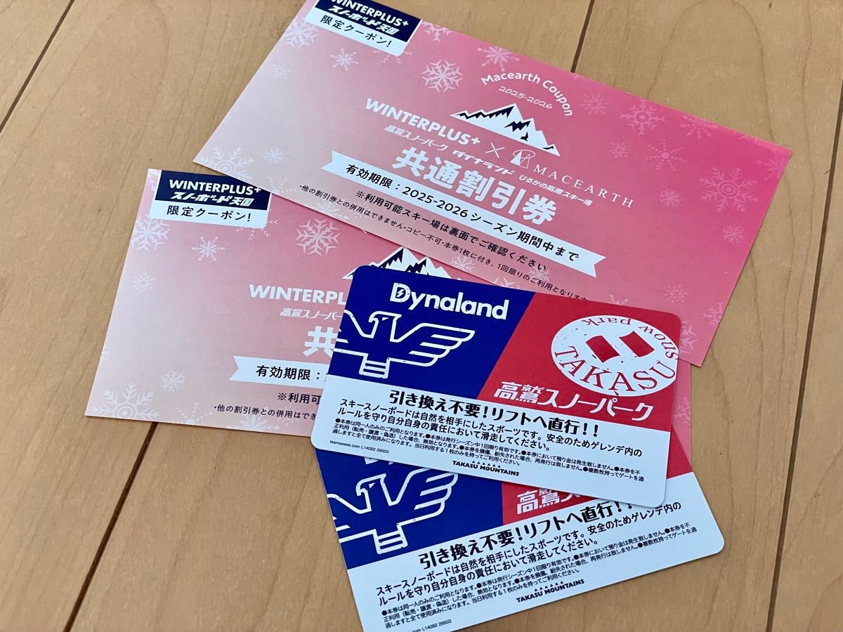 ダイナランド 高鷲スノーパーク 共通リフト券 2025-2026シーズン 2枚