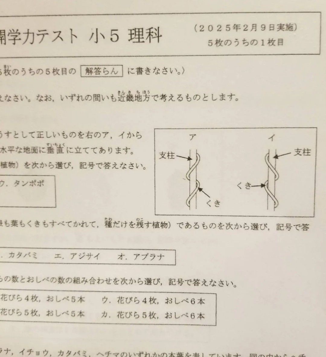 浜学園 小5 公開学力テスト 最新版 2025年 3教科 算数 国語 理科