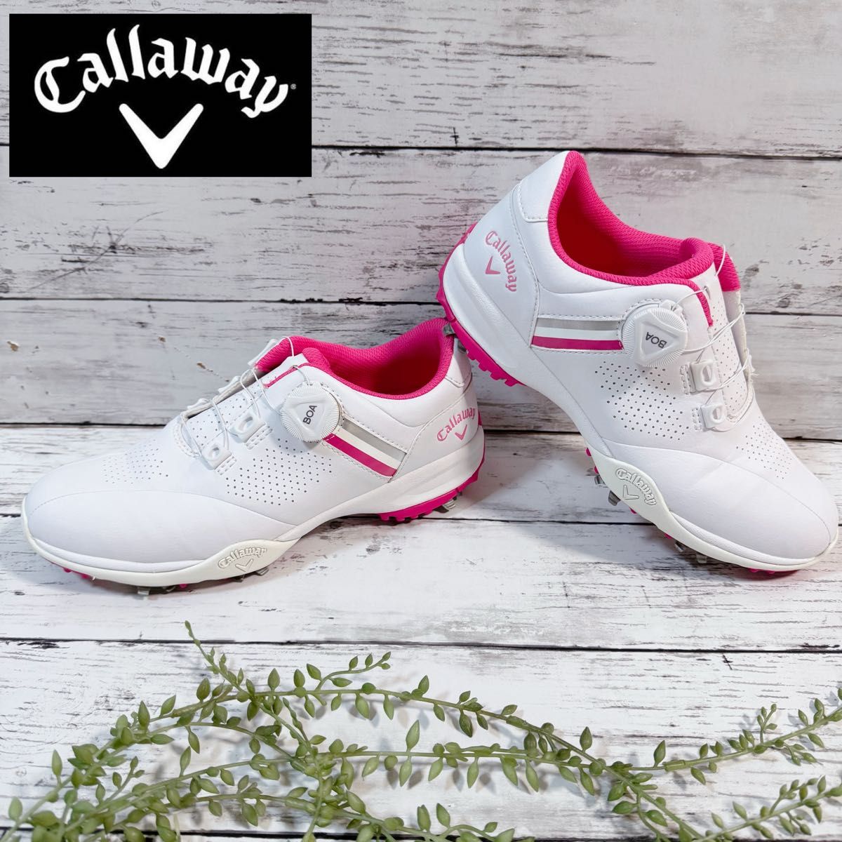 未使用品】人気色 キャロウェイ レディス ゴルフシューズ 23 0cm