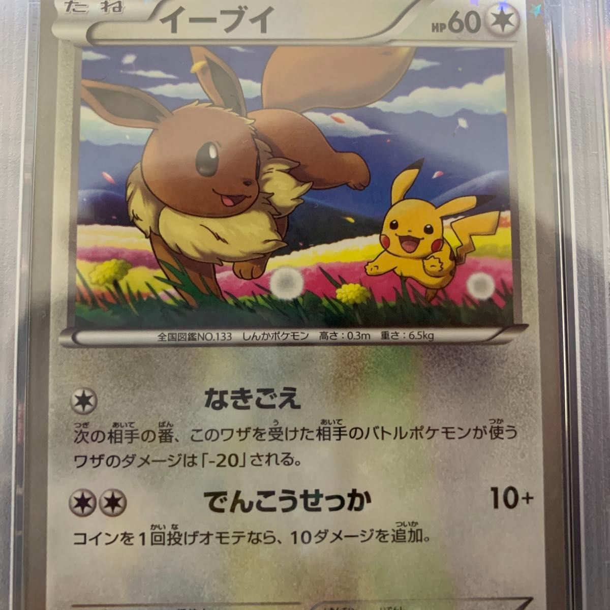 ポケモンカード イーブイ BW-P プロモ PSA9 セブンイレブン｜Yahoo