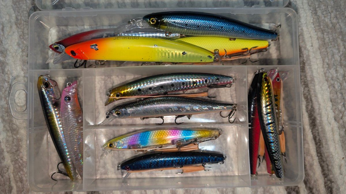 ルアーセット シーバス ミノー シーバス引退｜Yahoo!フリマ（旧PayPay