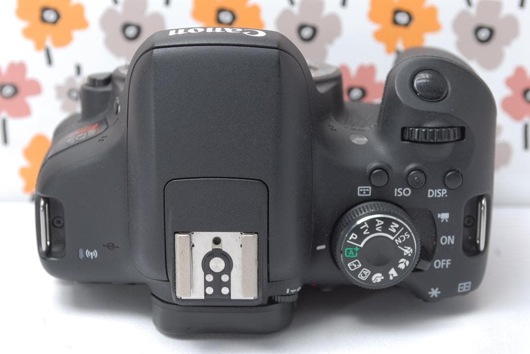 Canon Kiss X8i Wi-Fi転送 超望遠レンズ スポーツ撮影に キャノン 一眼