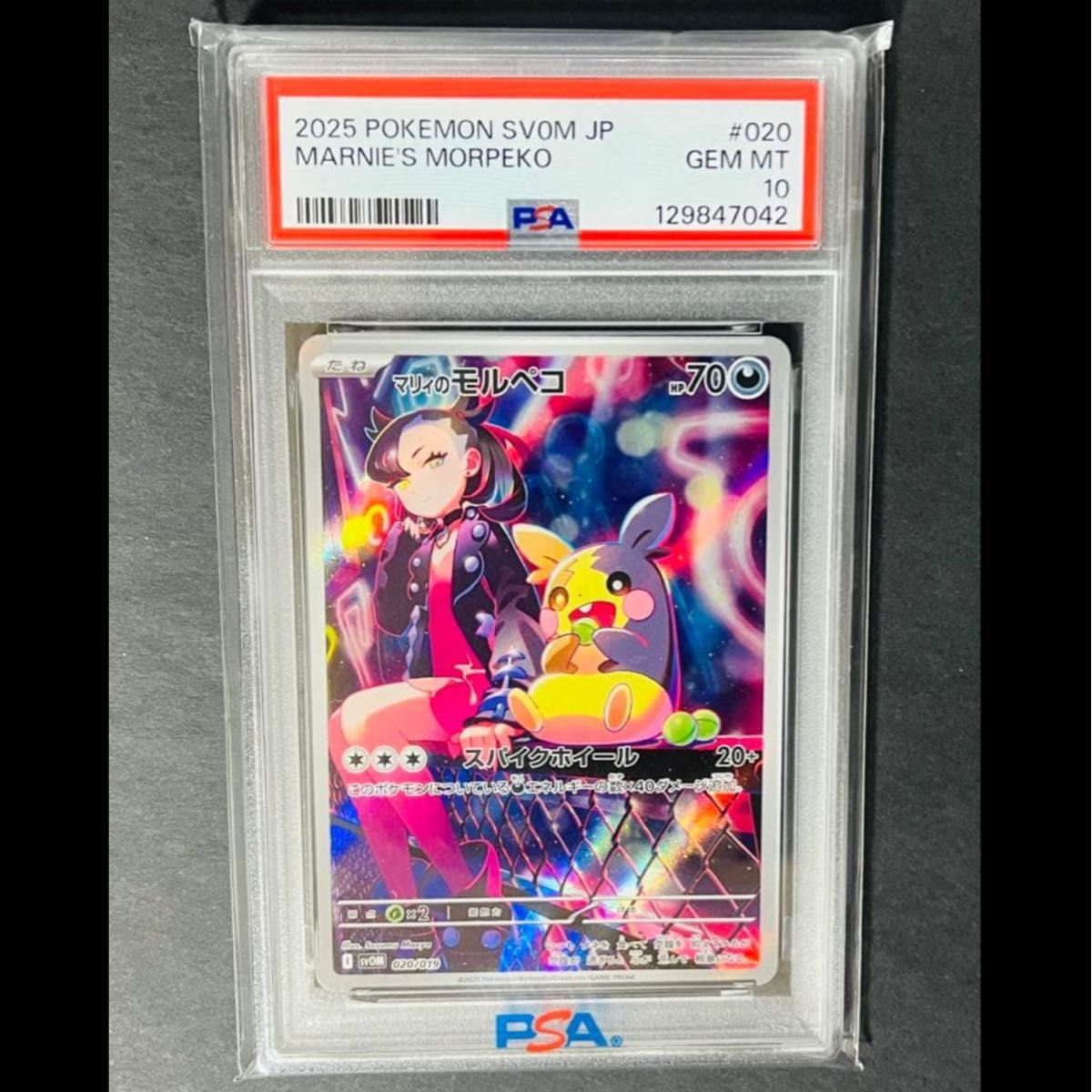 マリィのモルペコ PSA10 ポケモンカード スターターセットex｜Yahoo