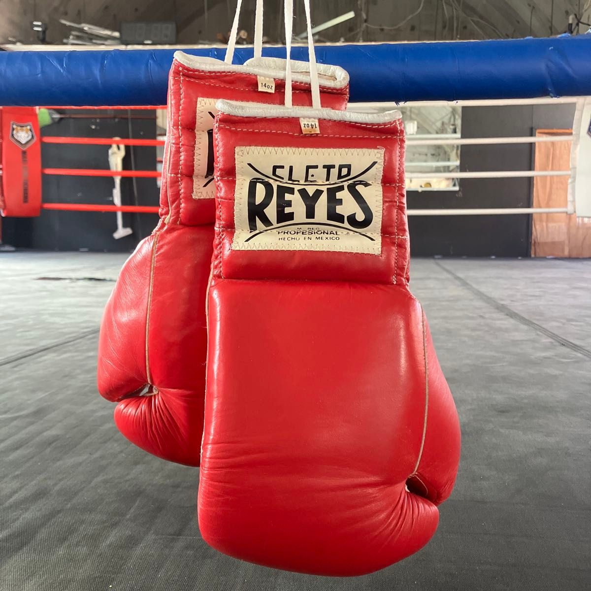 希少・旧型レイジェス 14oz 紐式グローブ（要状態確認・パディング劣化