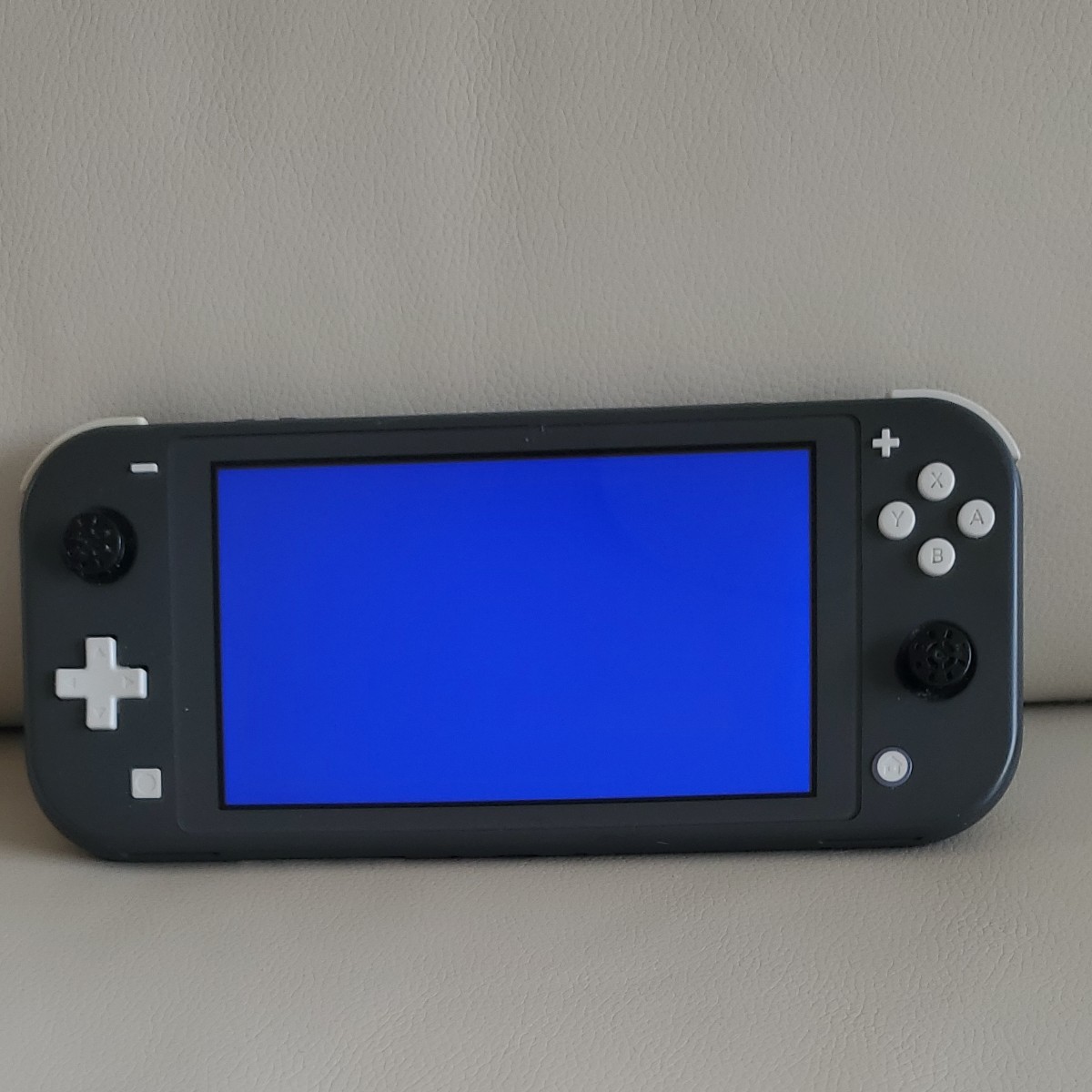 ニンテンドースイッチライト Nintendo Switch Lite グレー ジャンク