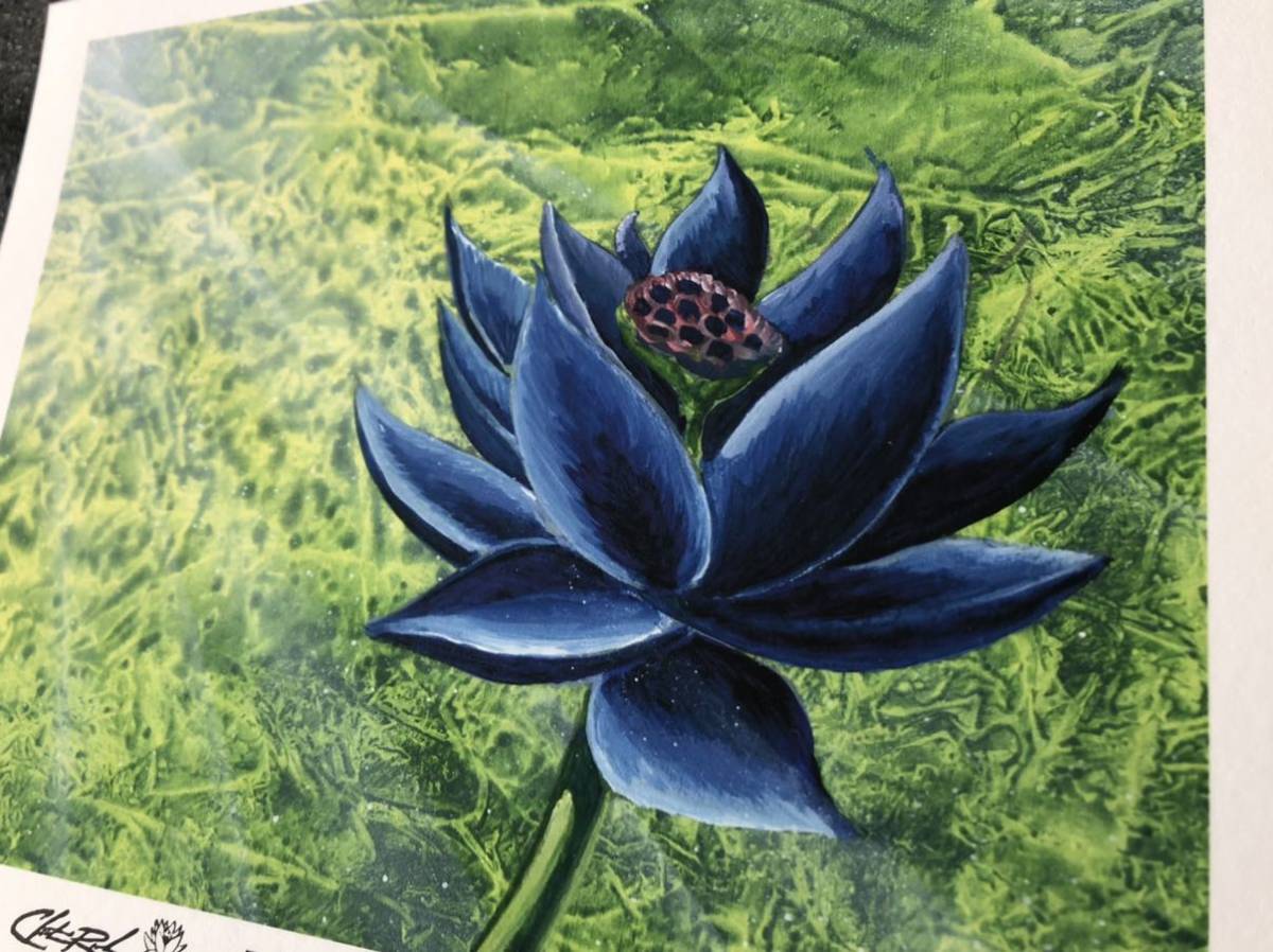 MTG Black Lotus ブラックロータス アートプリント｜Yahoo!フリマ（旧