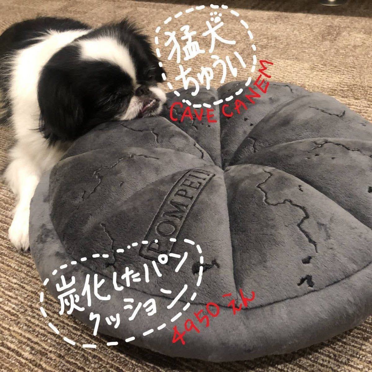 ポンペイ展 炭化したパンのクッション｜Yahoo!フリマ（旧PayPayフリマ）