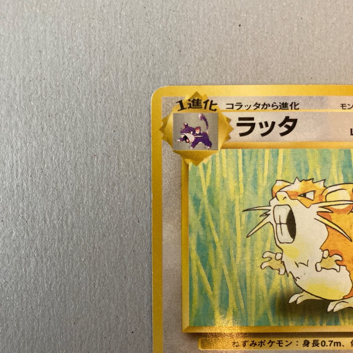 ポケモンカード 旧裏面 初版 マークなし ラッタ｜Yahoo!フリマ（旧