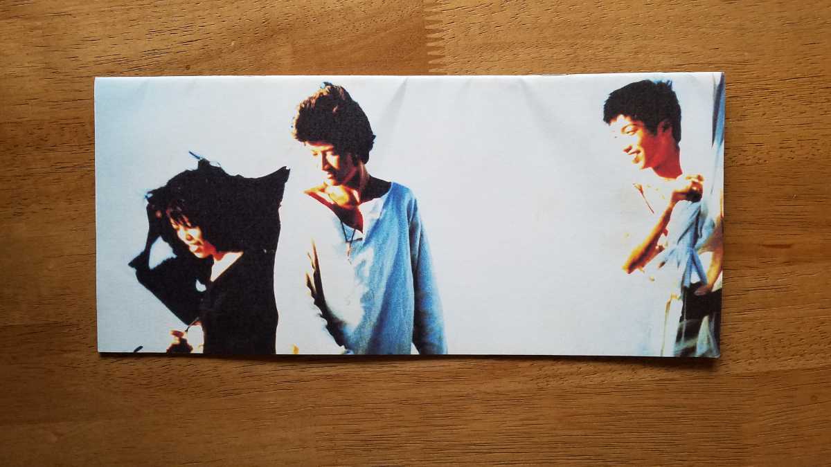 送料無料 PICNIC ピクニック 映画 パンフレット浅野忠信 chara チャラ