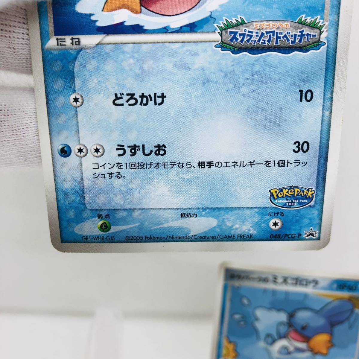 ポケモンカード ポケパークのミズゴロウ 2枚セット｜Yahoo!フリマ（旧