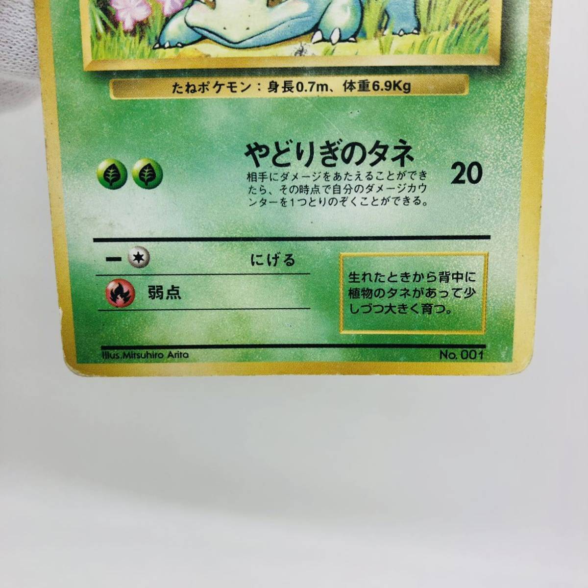 ポケモンカード 旧裏面 旧裏 マークなし 初版 フシギダネ Pokemon