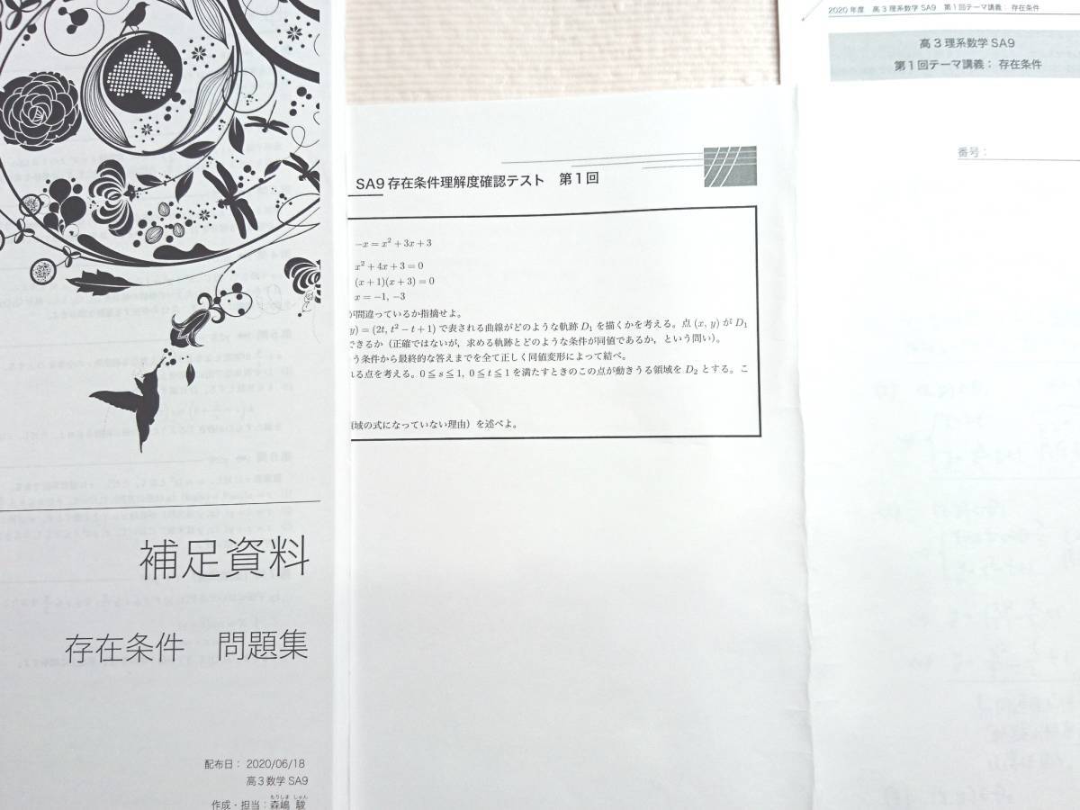 20年度最新版 鉄緑会 森嶋先生 存在条件解説資料フルセット 問題集