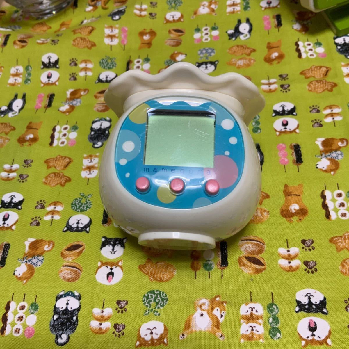 まめゴマ飼育日記｜Yahoo!フリマ（旧PayPayフリマ）