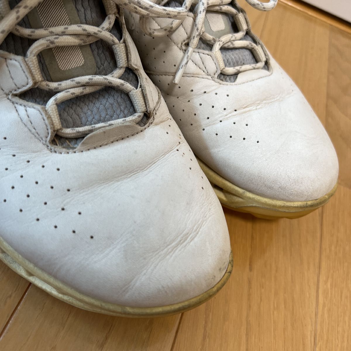 25㎝【ecco ゴルフシューズ】BIOM C4 スパイクレス｜Yahoo!フリマ（旧