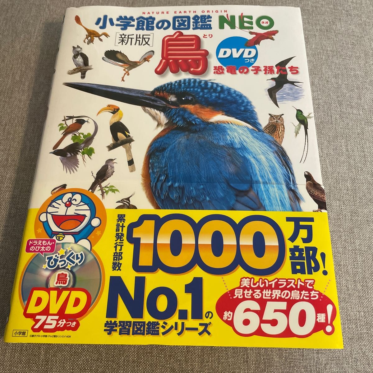 小学館の図鑑NEO DVD付 鳥 とり 新版 絵本 えほん 中古美品 知育 学習