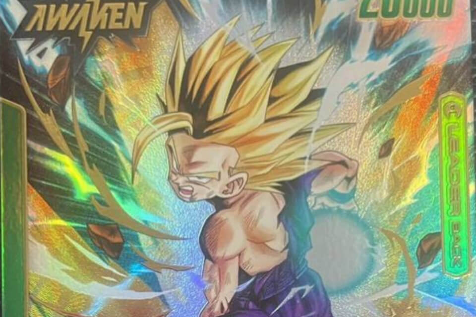 ドラゴンボール】『覚醒の鼓動』当たりカード！孫悟飯：少年期(L-P