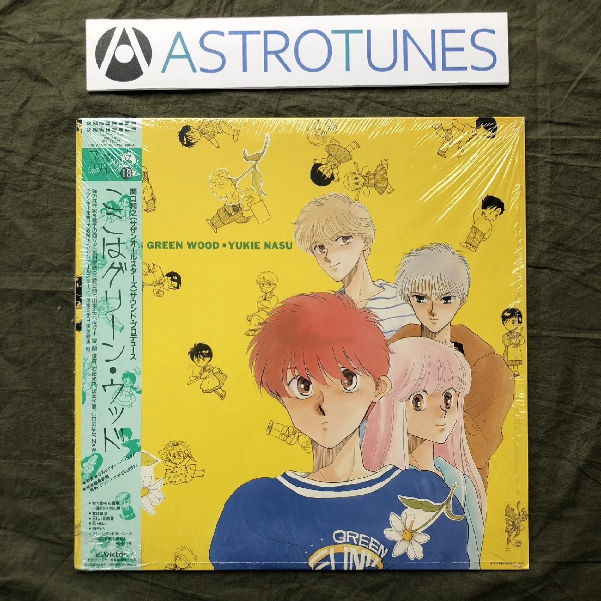 2026年最新】Yahoo!オークション -ここはグリーン ウッド(レコード)の