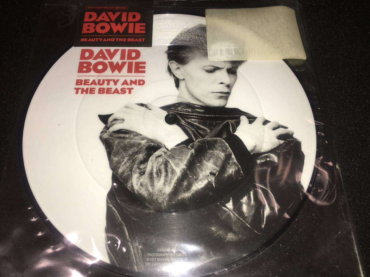 2026年最新】Yahoo!オークション -デヴィッド ボウイ ピクチャー