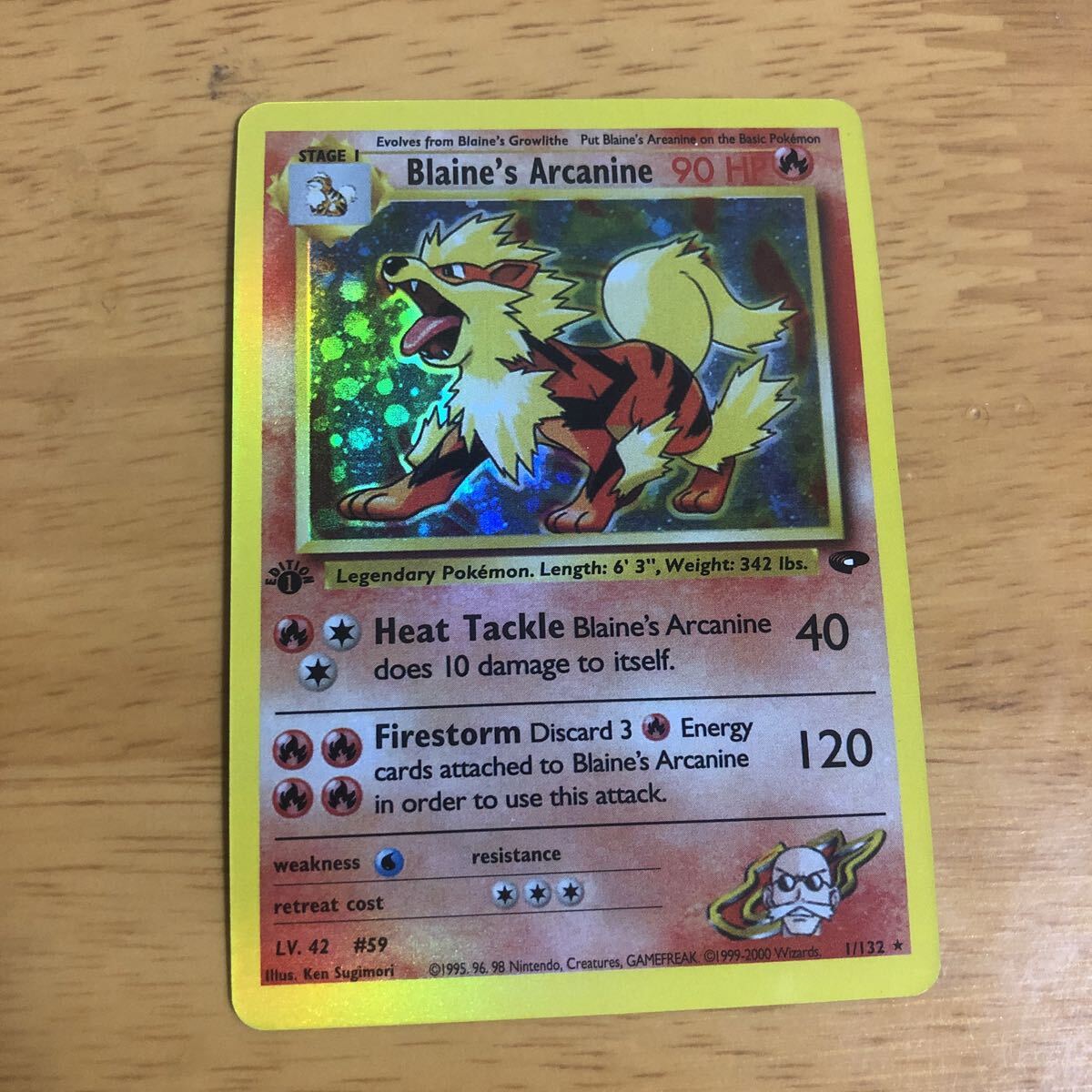 Yahoo!オークション -「カツラのウインディ」の落札相場・落札価格