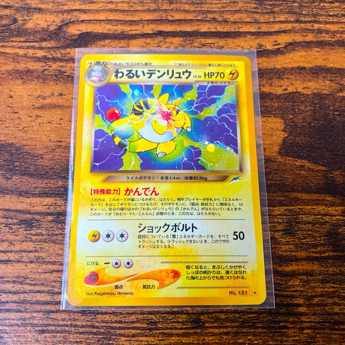 Yahoo!オークション -「わるいデンリュウ」の落札相場・落札価格