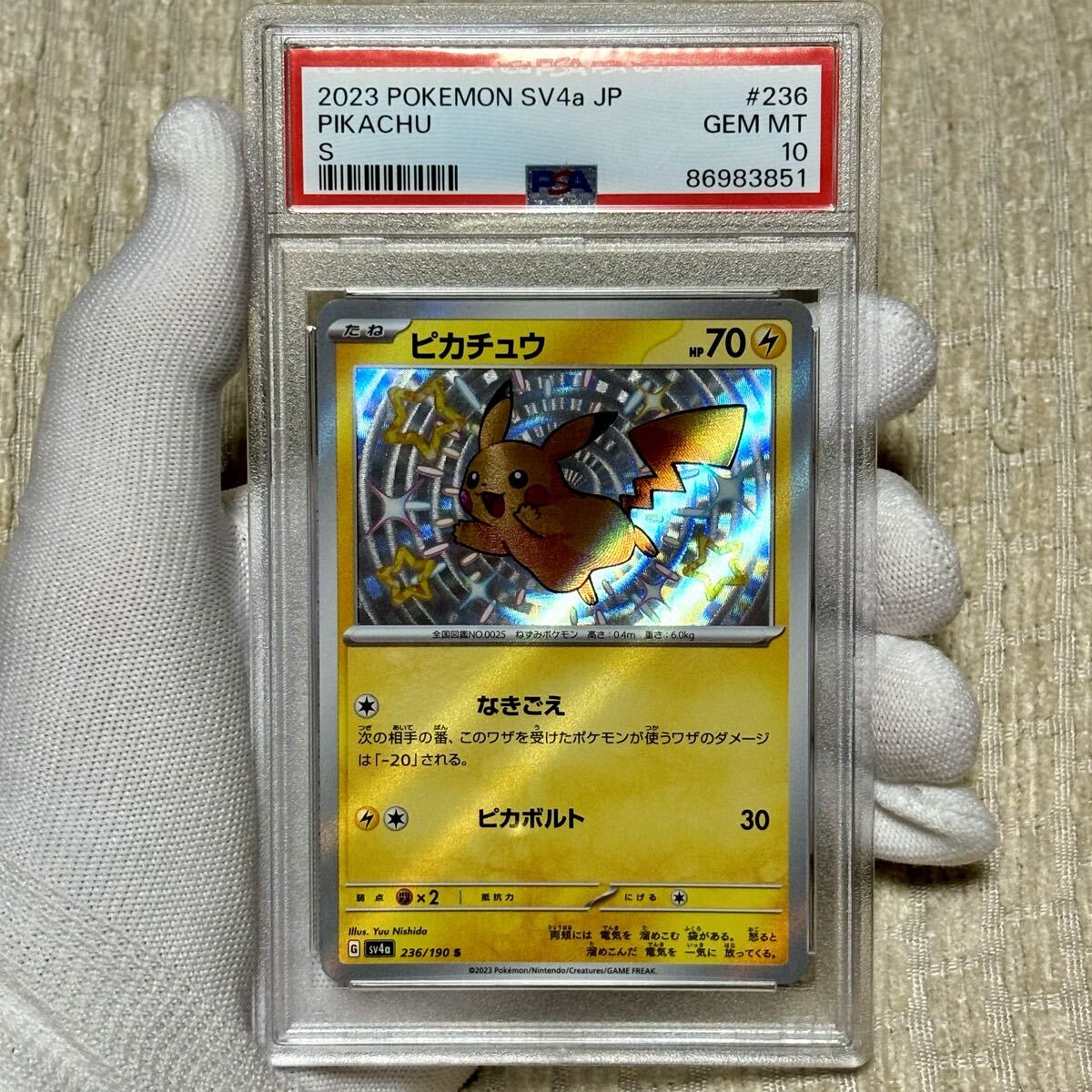 Yahoo!オークション -「色違いピカチュウpsa10」の落札相場・落札価格