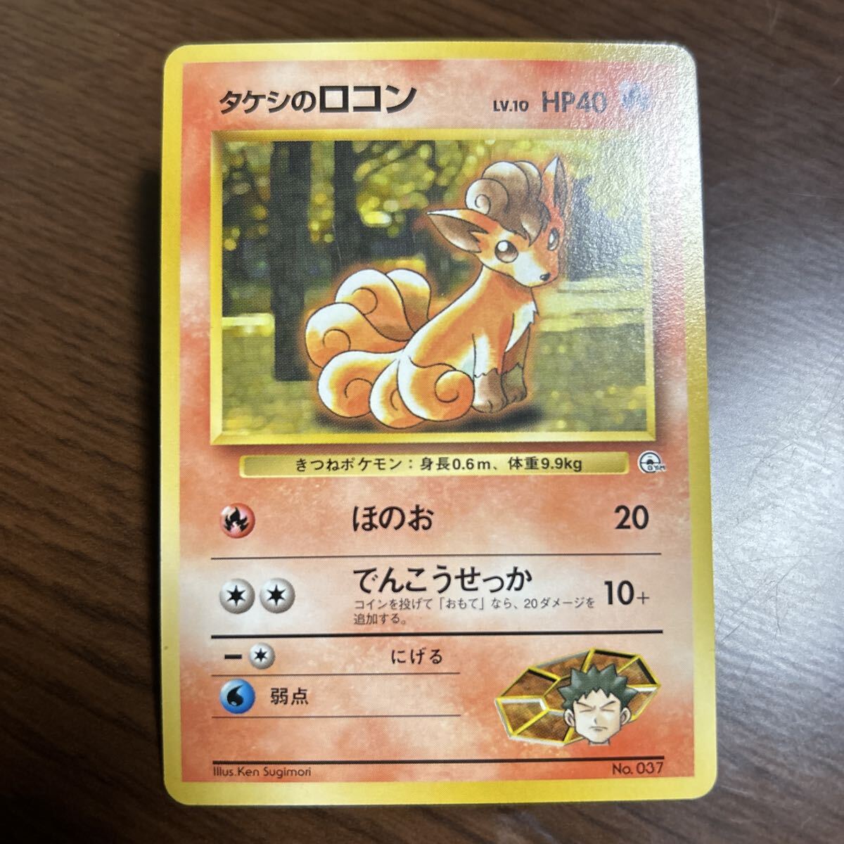 タケシのロコンの値段と価格推移は？｜8件の売買データからタケシの