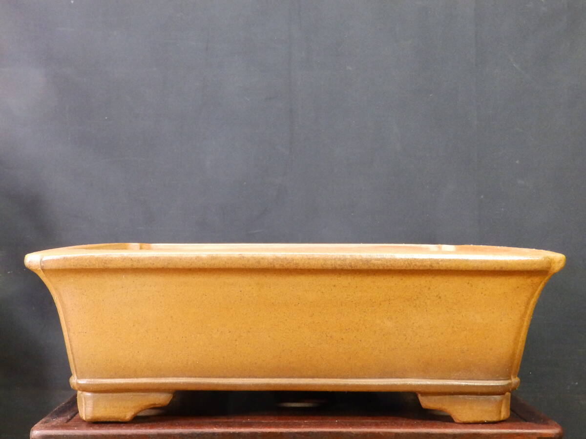 Yahoo!オークション -「盆栽鉢中野行山」(花、園芸) の落札相場・落札価格