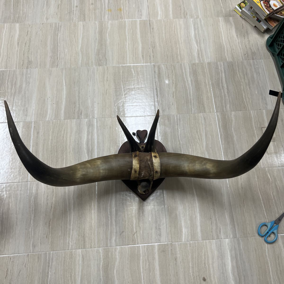 Yahoo!オークション -「水牛の角 置物」(その他) (置物)の落札相場