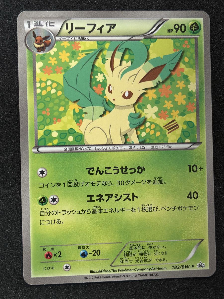 Yahoo!オークション -「イーブイコレクション プロモ」の落札相場