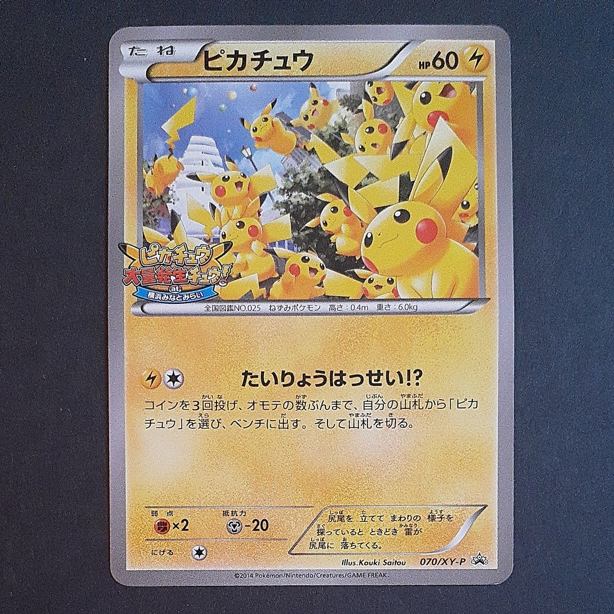 Yahoo!オークション - 「ピカチュウ大量発生チュウ」の落札相場・落札価格